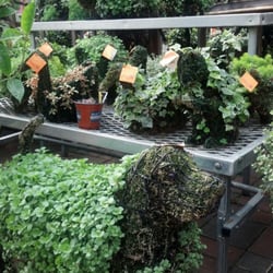 Mayflower Greenhouse - Squirrel, duck and dog topiary!