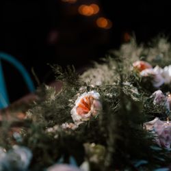 Naturally Yours Events