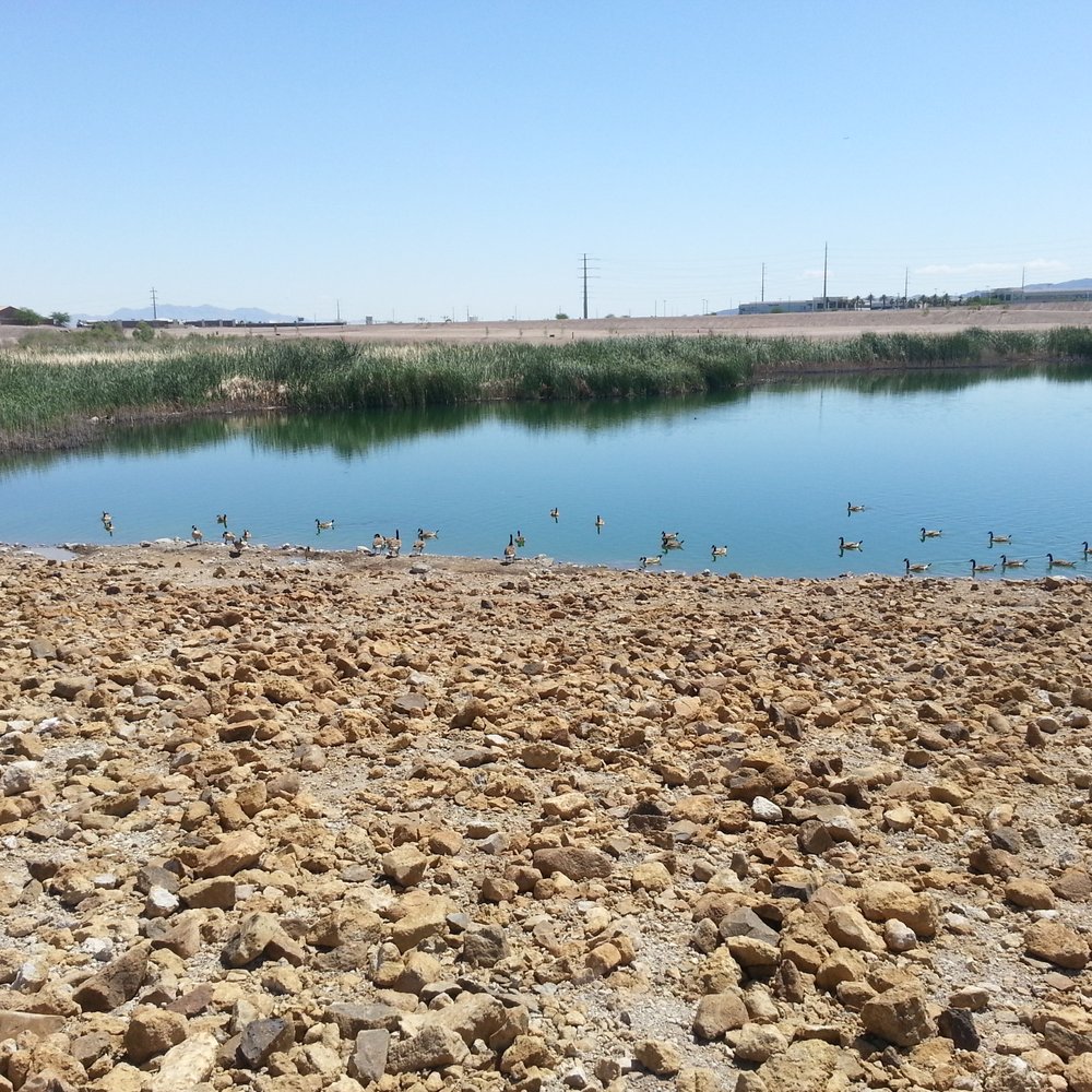Cornerstone Park - Lakes Near Me - Henderson, Nevada Cornerstone Park - Lakes Near Me - Henderson, Nevada