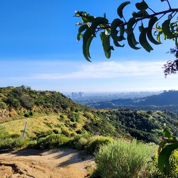 Franklin Canyon Park - View from close to the top of the trail. - Parks Near Me - Beverly Hills, California Franklin Canyon Park - View from close to the top of the trail. - Parks Near Me - Beverly Hills, California