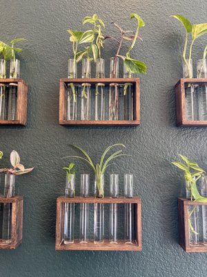 Sociology Coffee Bar (Folsom) by null