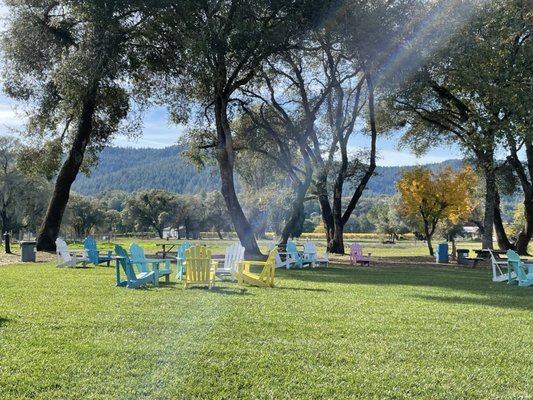 Anderson Valley Brewing Co by null