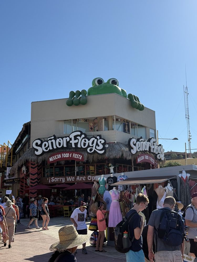 Senor Frog