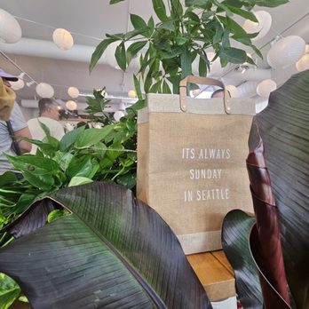 Sundays Coffee - Plants sponsored by local Indoor Sun Shop a block down - Coffee & Tea Near Me - Seattle, Washington