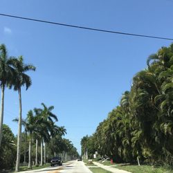 McGregor Boulevard - And this is why Ft Myers is the City of Palms!