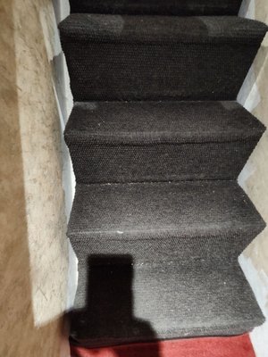 Shangri-la Boat Tour by null