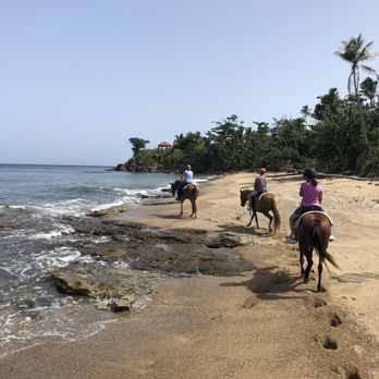 Pintos R Us - Horseback Riding Near Me - Puntas, Puerto Rico