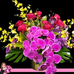Hidden Florist Sunbury & Macedon Ranges
