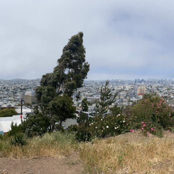 Bernal Heights Park - 360 degree views!! IG: @ohmyono - Dog Parks Near Me - San Francisco, California Bernal Heights Park - 360 degree views!! IG: @ohmyono - Dog Parks Near Me - San Francisco, California