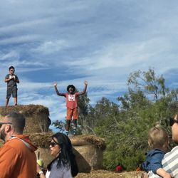 Dripping Springs Pumpkin Festival
