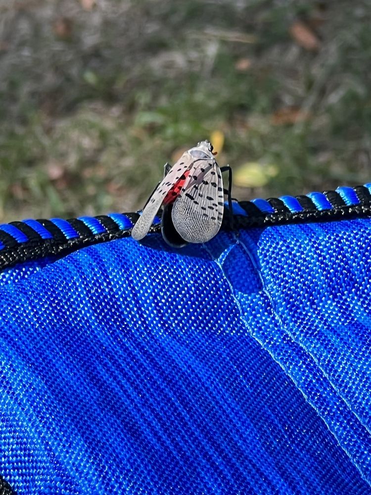 Hudson Park and Beach