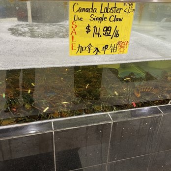 Asian Market - Lobster tanks! - International Grocery Near Me - Charlotte, North Carolina Asian Market - Lobster tanks! - International Grocery Near Me - Charlotte, North Carolina