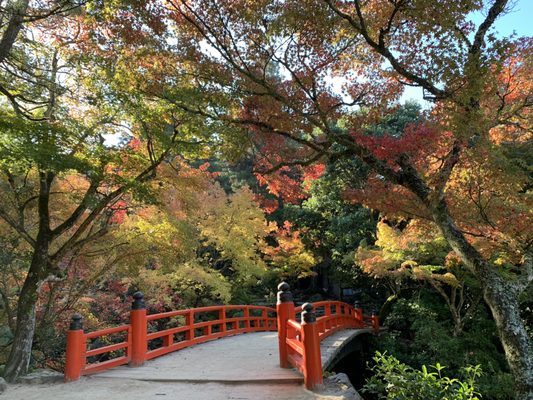 Momijidani Park by null