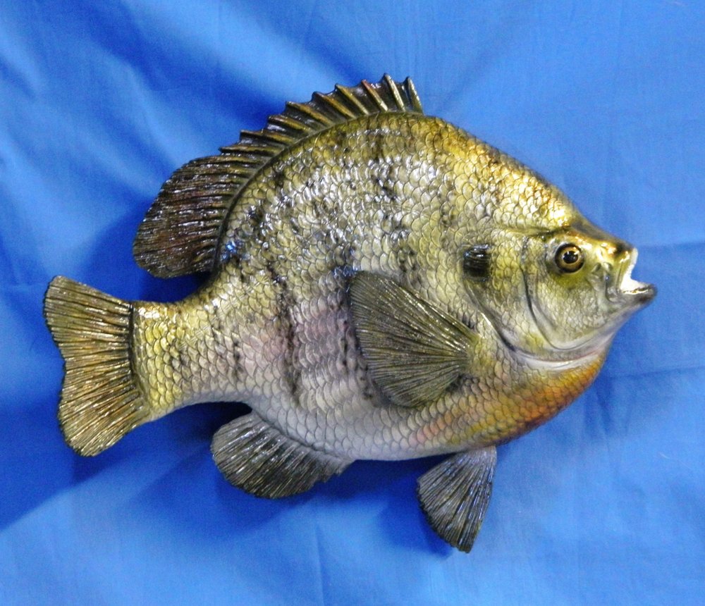 Mike's Taxidermy - taxidermy in Port Clinton, OH