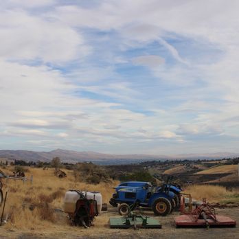 Wilridge Vineyard, Winery & Distillery - View from the seating area - Wine Tasting Room Near Me - Yakima, Washington Wilridge Vineyard, Winery & Distillery - View from the seating area - Wine Tasting Room Near Me - Yakima, Washington