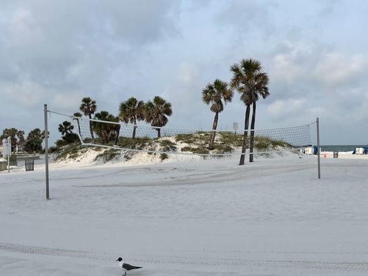 Clearwater Beach by null