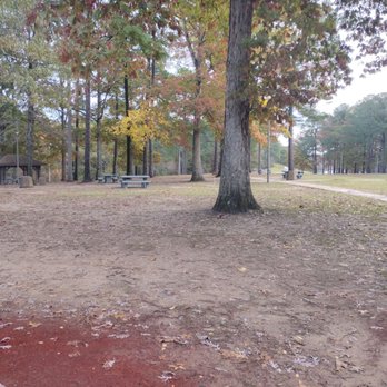 Alabama I-59 S Rest Area - ooo! it's so big! - Rest Stops Near Me - Cottondale, Alabama Alabama I-59 S Rest Area - ooo! it's so big! - Rest Stops Near Me - Cottondale, Alabama
