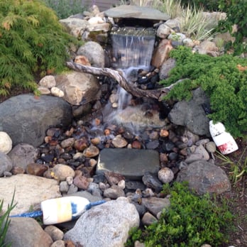 Mike's Clam Shack - A cute waterfall in front - Seafood Near Me - Wells, Maine Mike's Clam Shack - A cute waterfall in front - Seafood Near Me - Wells, Maine
