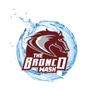 Photo of The Bronco Wash