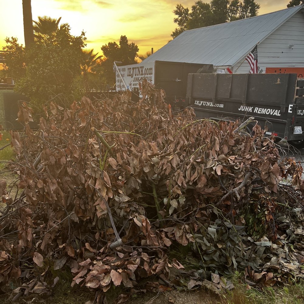 IE Junk - A pile of branches, old poles and picket fence posts. - Junk Removal & Hauling Near Me - Mentone, California IE Junk - A pile of branches, old poles and picket fence posts. - Junk Removal & Hauling Near Me - Mentone, California