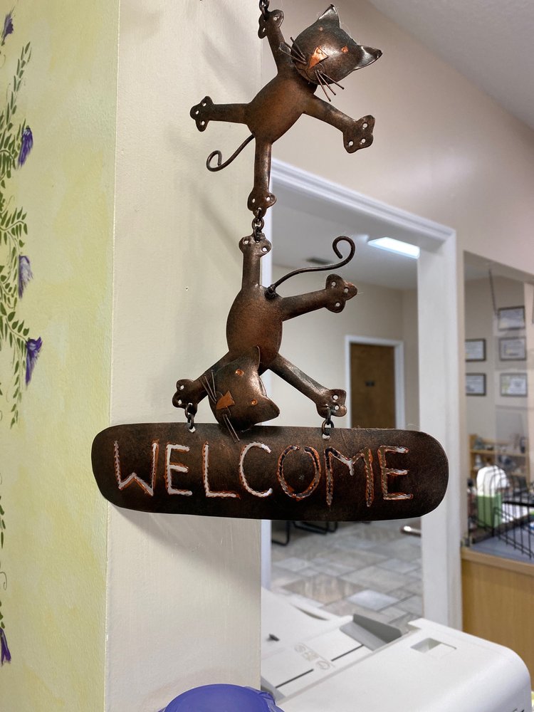 4 Paws Pet Clinic Image