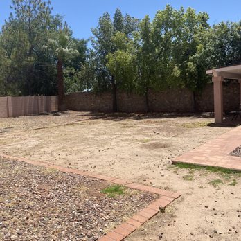 AMS Landscaping - Yard on 5/23, last clean up 5/5. Note: palm trees and oleander removed by another co since AMS didn't attend to those or my other trees. - Landscaping Near Me - Phoenix, Arizona AMS Landscaping - Yard on 5/23, last clean up 5/5. Note: palm trees and oleander removed by another co since AMS didn't attend to those or my other trees. - Landscaping Near Me - Phoenix, Arizona