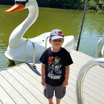 Roger Williams Park - We loved the new swan boats ! - Parks Near Me - Providence, Rhode Island
