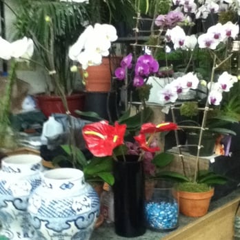 International Garden Inc - Florists Near Me - New York, New York International Garden Inc - Florists Near Me - New York, New York