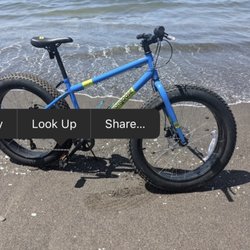 Fat Tire Bike Rental