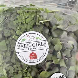 Barn Girls Farms - Micro green salad mix