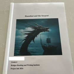 Bridges Reading and Writing Institute - End product of Project Ink 2024
