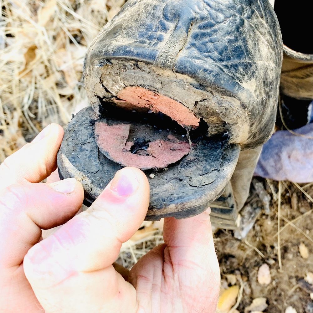 CYDWOQ - 8 months of normal use. Dusty because I set them outside as I have no use for them. 500 dollars for 8 months of shoe usage! - Shoe Stores Near Me - Burbank, California