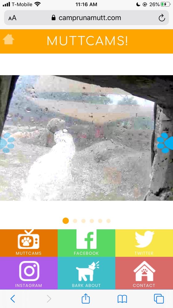 CAMP RUN A MUTT GAINESVILLE Updated June 2024 121 Photos & 18