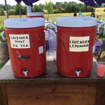 Seven Oaks Lavender Farm - 2.50 for a 10 oz cup - Flowers & Gifts Near Me - Catlett, Virginia Seven Oaks Lavender Farm - 2.50 for a 10 oz cup - Flowers & Gifts Near Me - Catlett, Virginia