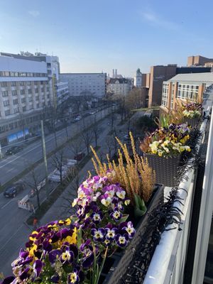 Hilton Munich City by null