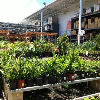 Home Depot - A huge selection of plants! - Hardware Stores Near Me - Honolulu, Hawaii Home Depot - A huge selection of plants! - Hardware Stores Near Me - Honolulu, Hawaii