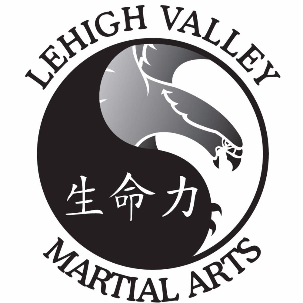 Lehigh Valley Martial Arts - Breinigsville Logo