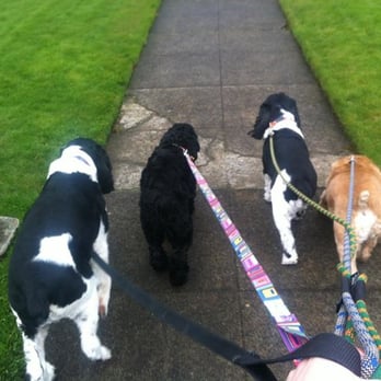 Precious Pet Sitting - Dog Walkers Near Me - The Woodlands, Texas Precious Pet Sitting - Dog Walkers Near Me - The Woodlands, Texas