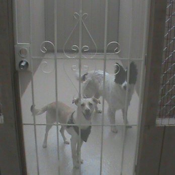 Pampered Pooch Pet Hotel - The kennels are large enough for 2 to share. - Pet Boarding Near Me - Mountain View, Hawaii Pampered Pooch Pet Hotel - The kennels are large enough for 2 to share. - Pet Boarding Near Me - Mountain View, Hawaii