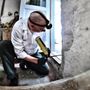 Photo of Beeline Pest Services
