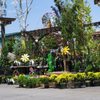 Rail City Garden Center gift card