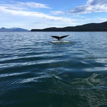 Weather Permitting Alaska - North Pass sunset - Whale Watching Tours Near Me - Juneau, Alaska Weather Permitting Alaska - North Pass sunset - Whale Watching Tours Near Me - Juneau, Alaska