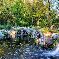 Aquatica