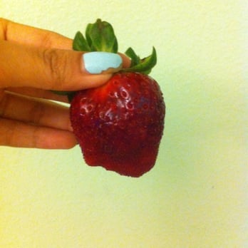 Pappy's Patch U-Pick Strawberries - Pick Your Own Farms Near Me - Oviedo, Florida