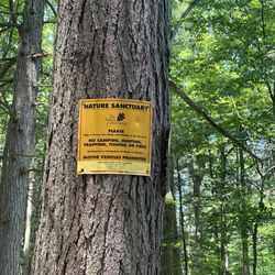 Lisha Kill Natural Area
