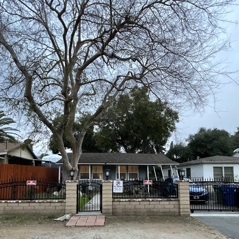 Artist Tree Service - Tree Services Near Me - Sylmar, California