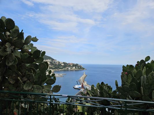 Colline du Château by null
