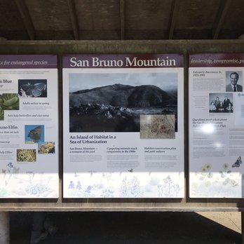 San Bruno Mountain State & County Park - Parks Near Me - Brisbane, California San Bruno Mountain State & County Park - Parks Near Me - Brisbane, California
