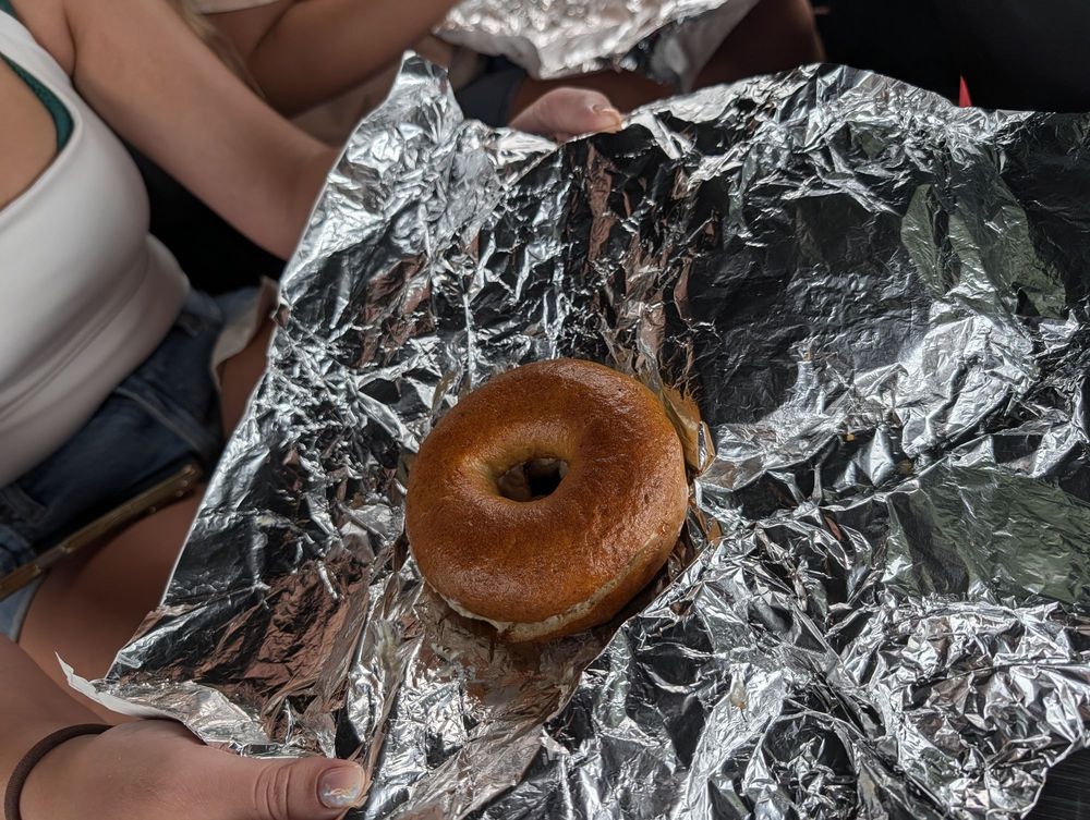 Jungle Bum Bagel Logo