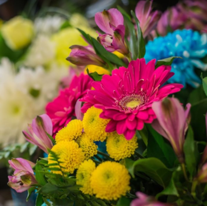 FOREST OF FLOWERS Updated September 2024 Request Information 24